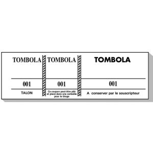 10 blocs tombola 3 volets 100 feuilles couleurs 4.8 x 15 cm