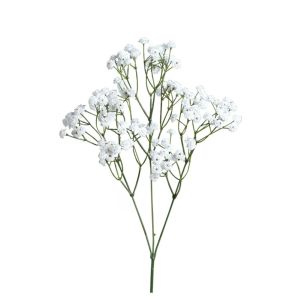 Gypsophile 67 cm