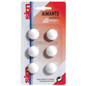 6 aimants 22 mm blancs