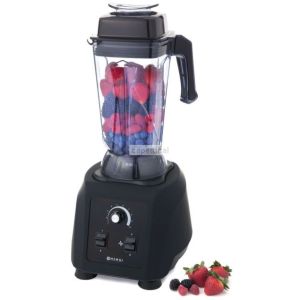 Blender 2.5 litres